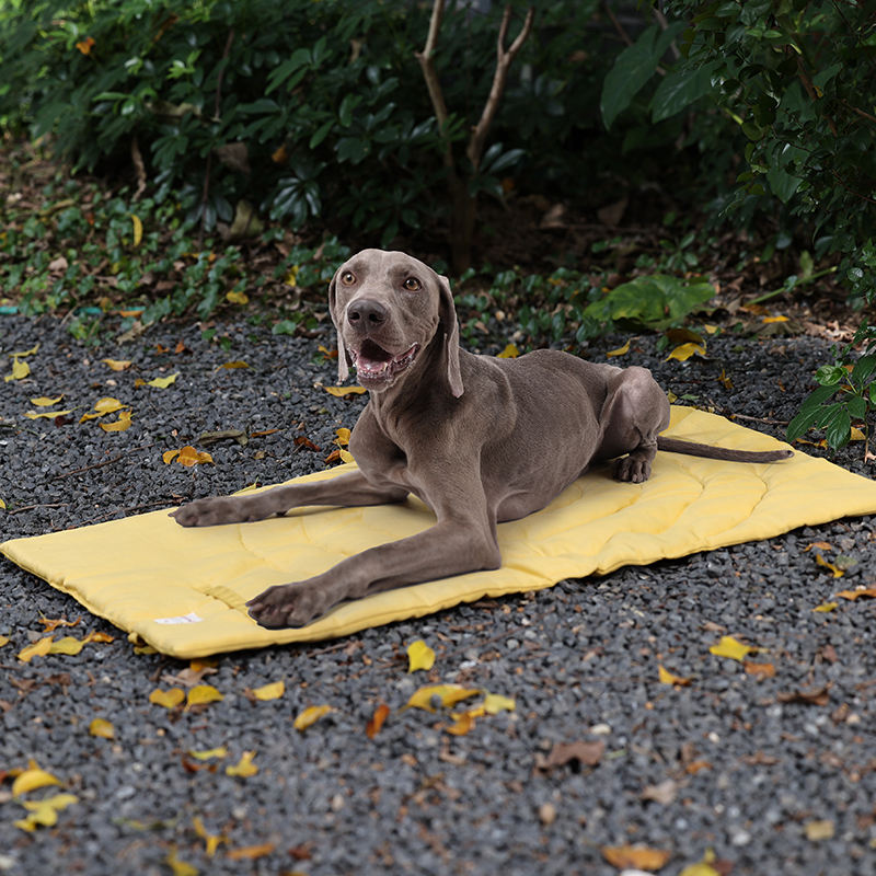 Portable Pet Mat Foldable Pet  - Outdoor Camping Mat Waterproof recension och pris
