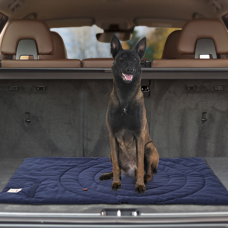 Portable Pet Mat Foldable Pet  - Outdoor Camping Mat Waterproof recension och pris